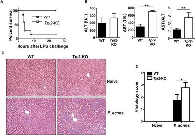 Tpl2 Protects Against Fulminant Hepatitis Through Mobilization of Myeloid-Derived Suppressor Cells